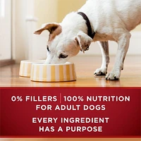 Purina ONE True Instinct Classic Ground Chicken & Duck, Wet Dog Food 368 g, 368 g