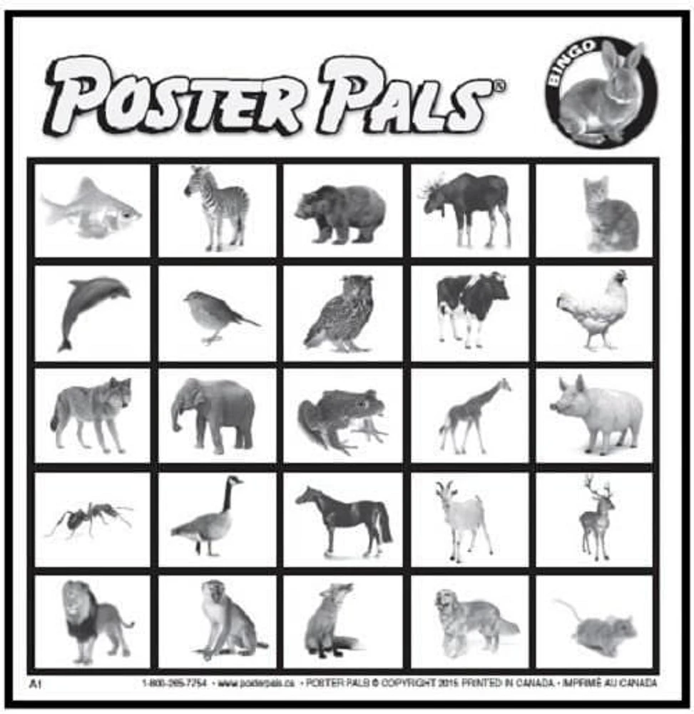 French Animals Bingo