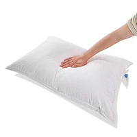 Royal Elite Firm Small White Feather Pillow