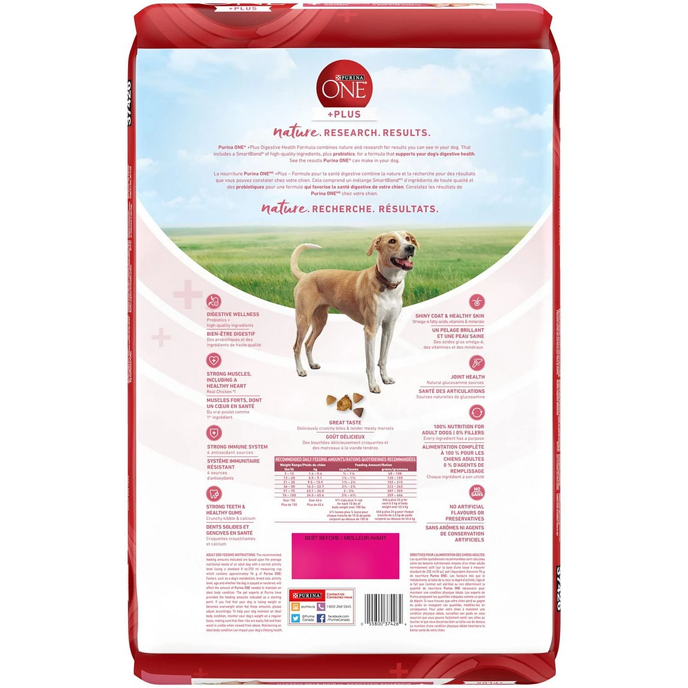 Purina ONE SmartBlend Formule pour la Santé Digestive Poulet, Nourriture Sèche pour Chiens 5,4-9,5kg