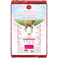 Purina ONE SmartBlend Formule pour la Santé Digestive Poulet, Nourriture Sèche pour Chiens 5,4-9,5kg