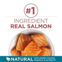 Purina ONE Salmon & Rice, Dry Cat Food, 1.59-7.2 kg