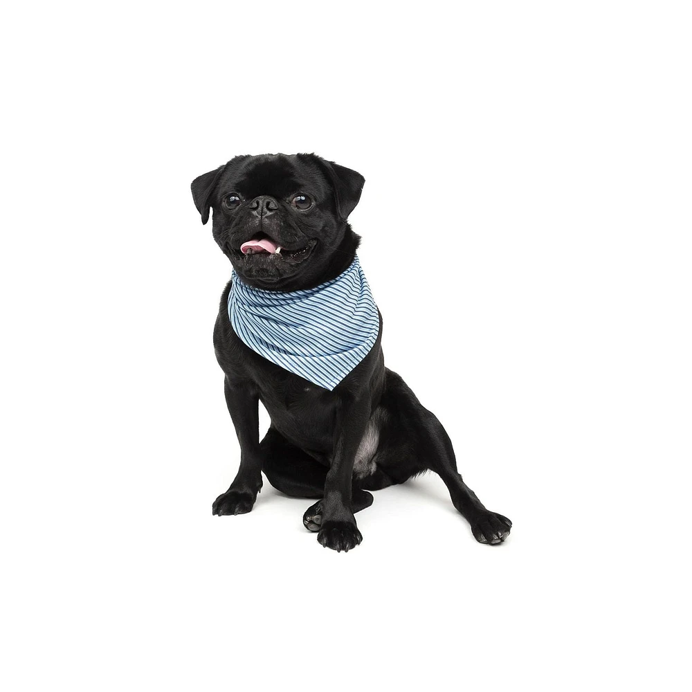One Paw, Bandana pour Chien, Tissu Doux, Plusieurs Couleurs et Tailles One Paw, Chien Bandana