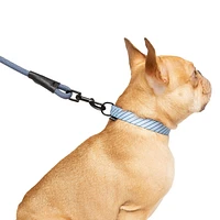 One Paw, Ensemble de 3 Colliers et Laisses pour Chien, avec Distributeur de Sacs, Plusieurs Couleurs One Paw, Ensemble de 3 Colliers et Laisses