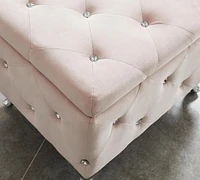 Contemporary Velvet & Metal Storage Ottoman in Blush Pink