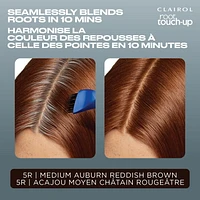 Retouche-racines permanente Clairol Root Touch-Up