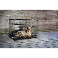 Lucky Dog Whisper Glide 36 Inch Sliding Double Door Dog Crate