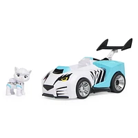 PAW Patrol, Cat Pack, Rory’s Transforming Toy Car with Collectible Action Figure, Kids Toys for Ages 3 and up