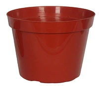 10"GROWER POT TERRACOTTA, 10"GROWER POT