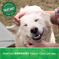 Gâteries dentaires naturelles pour chiens adultes GREENIES Original format TEENIE 11-96 Gâteries