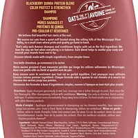 AVEENO Blackberry Quinoa Protein Blend Shampoo for Colour Protect & Strengthen