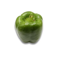 Pepper, Green Bell, Sold in singles, 0.12 - 0.24 kg