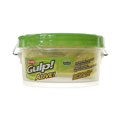 Berkley Gulp! Alive! Minnow - Chartreuse Shad, Prepared Baits