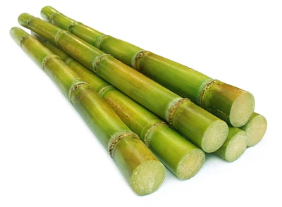 Canne à sucre Vendu en unités
