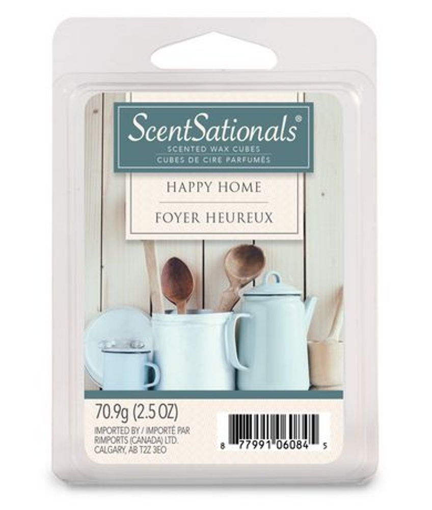 Scentsationals Scented Wax Warmer - Home, Blue