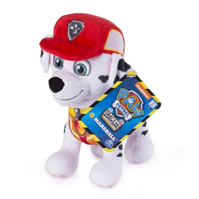 Paw Patrol Boys 2 pack of boxer briefs 