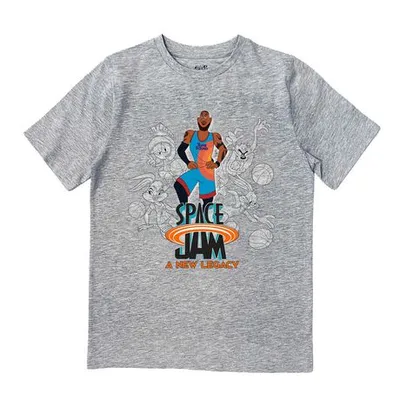 Space Jam Boy's Short Sleeve Crew Neck T-Shirt Grey M