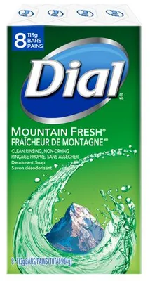 Dial Deodorant Soap Mountain Fresh - 8 Bars 113G