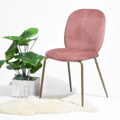 Homycasa Parkinson Velvet Chair (Set Of 2) Rose Standard