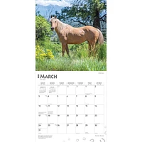 BrownTrout Quarter Horses 2024 12x24 Inch Square Wall Calendar, 9781975464738