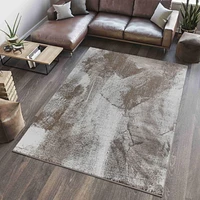 Rug Branch Collection Sakarya Tapis d'intérieur moderne abstrait