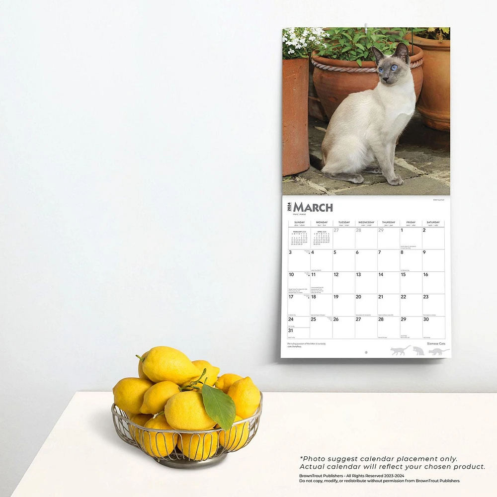 BrownTrout Siamese Cats 2024 12x24 Inch Square Wall Calendar, 9781975465056