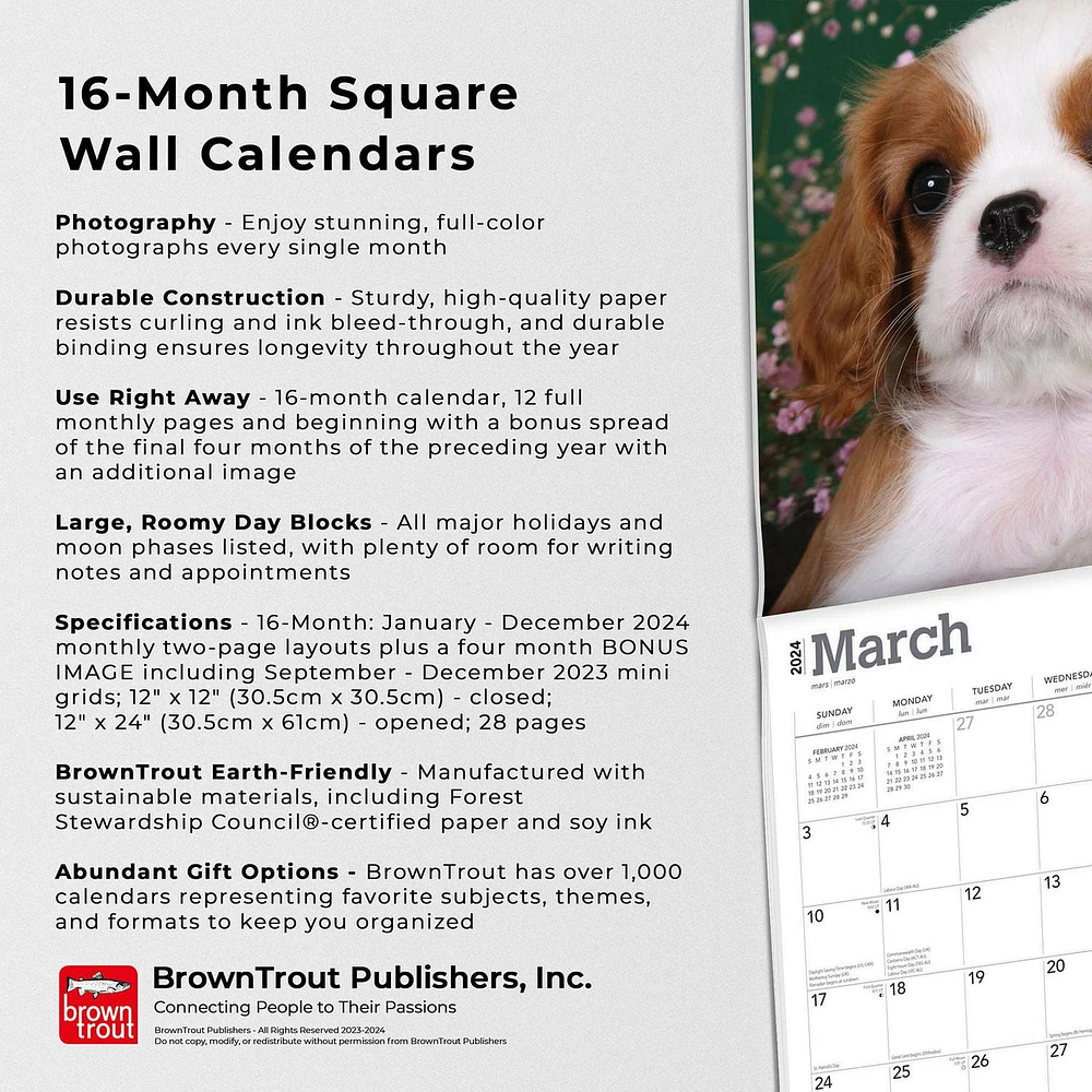 BrownTrout Cavalier King Charles Spaniel Puppies 2024 12x24 Inch Square Wall Calendar, 9781975462246