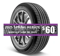 NEXEN N'Priz AH5 215/65R17 99H Tire