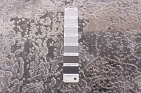 Tapis ECARPET Abstrait Moderne Collection Phoenix