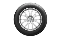 Uniroyal Tiger Paw Touring A/S 215/55R16XL 97H BSW tire