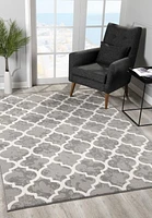 Rug Branch Silvia Collection Tapis Moderne En Treillis