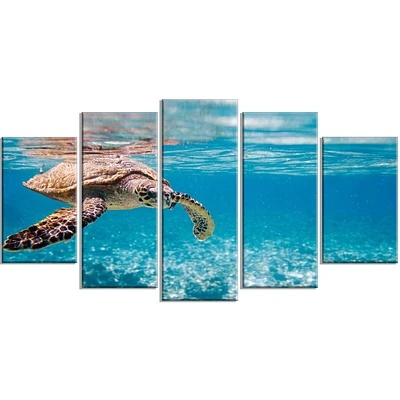 Design Art Grande Tortue Imbriquée Art Sur Toile