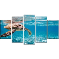 Design Art Grande Tortue Imbriquée Art Sur Toile