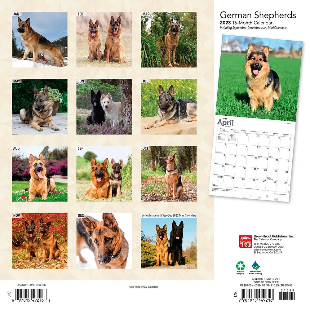 German Shepherds 2023 Square