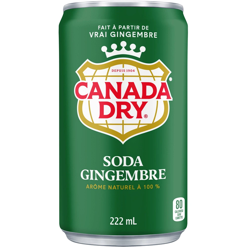 Canada Dry® Ginger Ale 222 mL Mini-Cans, 6 Pack, 6 x 222 mL