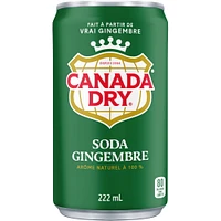 Canada Dry® Ginger Ale 222 mL Mini-Cans, 6 Pack, 6 x 222 mL