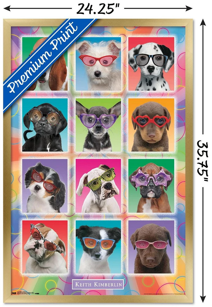 Keith Kimberlin - Chiots - Lunettes de soleil