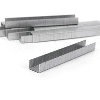 Arrow JT21 1/4" Staples, 1,000/pack