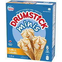 NESTLÉ® DRUMSTICK® Minis Vanilla Caramel Cones 6 x 66 ml