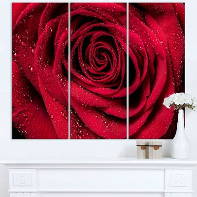 Tableau à toile imprimée florale Design Art Pétales de rose rouge avec gouttelettes de pluie