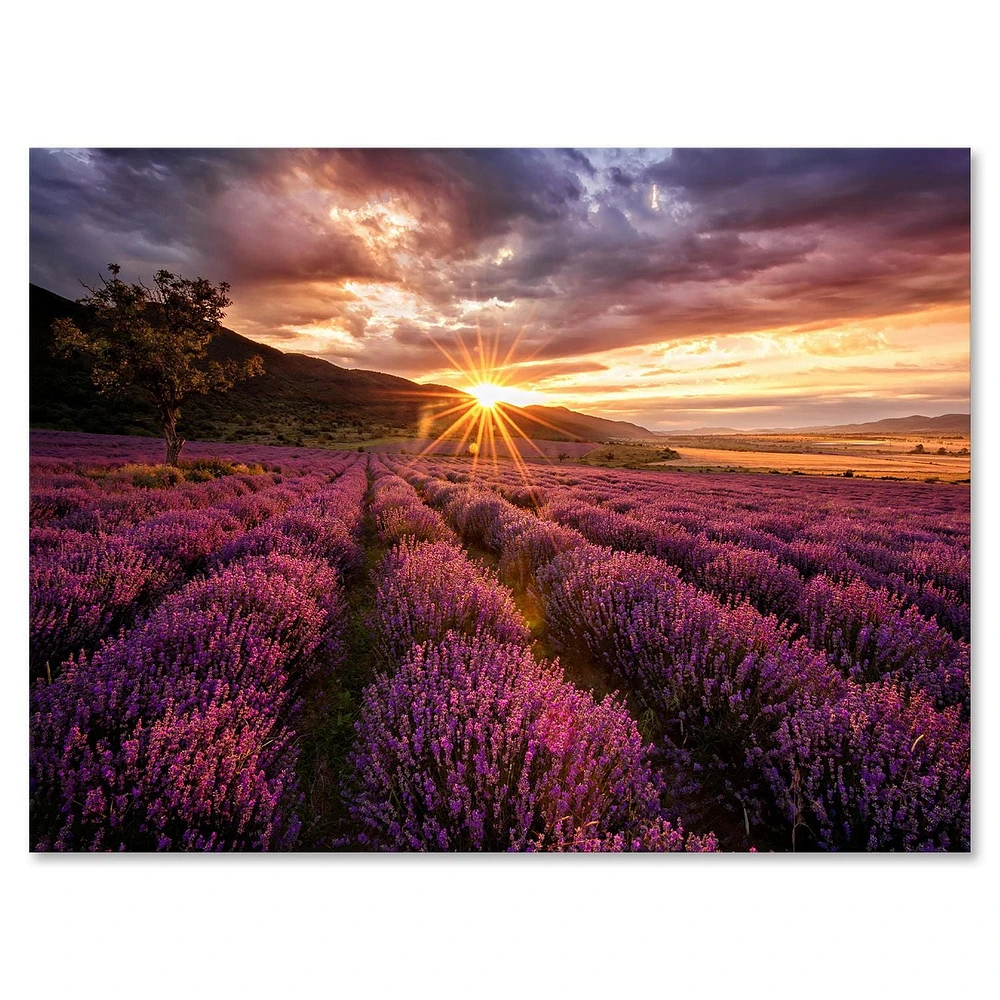 Designart Lever du soleil et nuages ​​dramatiques sur le champ de lavande IV Art mural sur toile