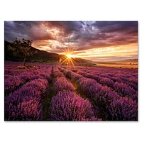 Designart Lever du soleil et nuages ​​dramatiques sur le champ de lavande IV Art mural sur toile