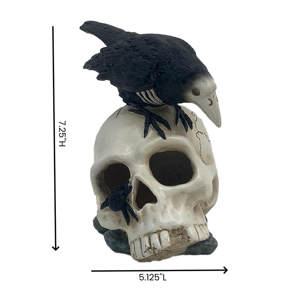 RESIN SKULL CROW TT