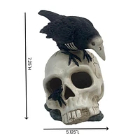RESIN SKULL CROW TT