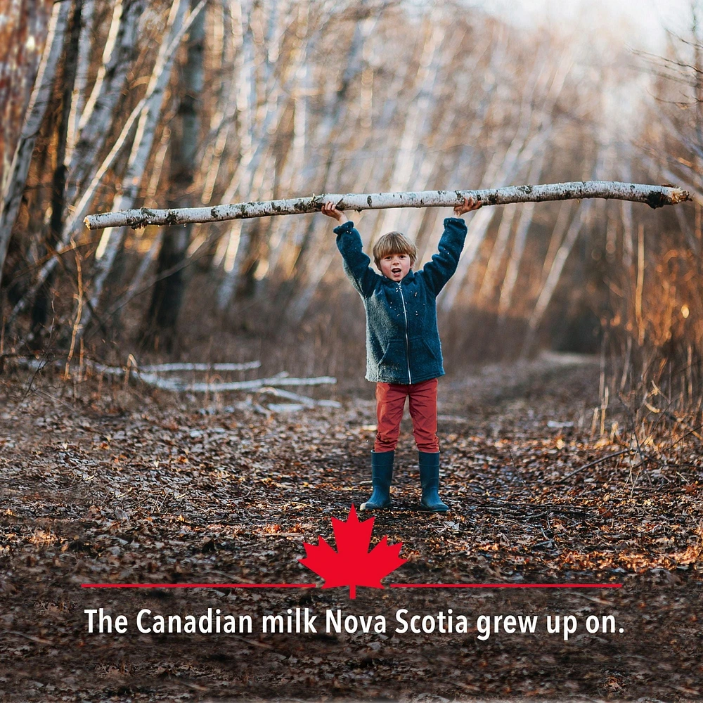 Scotsburn 3.25% Homogenized Milk, 4L