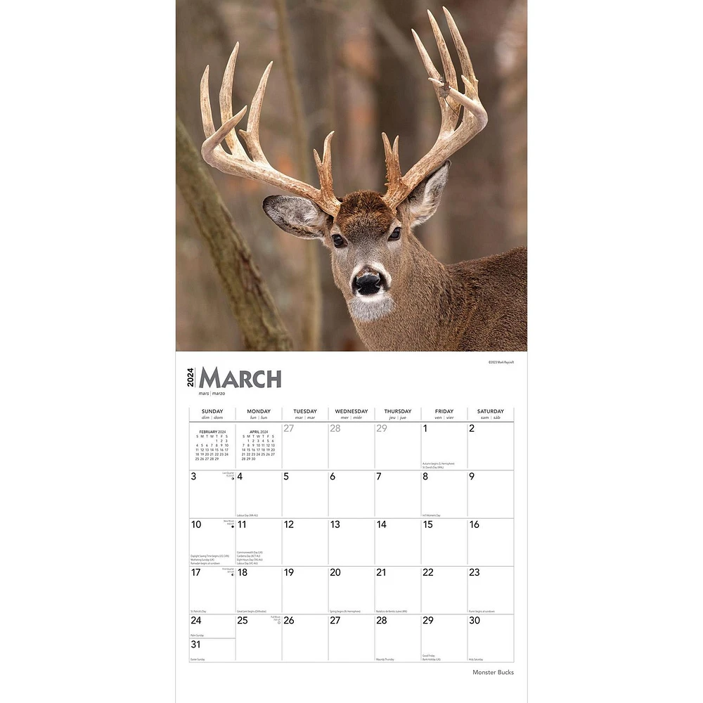 BrownTrout Monster Bucks 2024 12x24 Inch Square Wall Calendar, 9781975464073