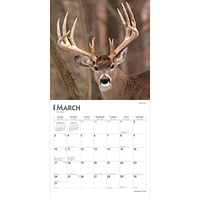 BrownTrout Monster Bucks 2024 12x24 Inch Square Wall Calendar, 9781975464073