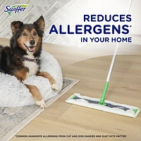 Recharges de linges humidifiés Swiffer grand format pour balayer et nettoyer les planchers, nettoyant pour planchers multi-surfaces, parfum Frais, 12 unités 12CT