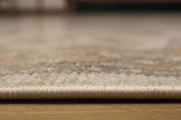 ECARPET Stassie 5'0" x 8'0" Traditional Area Rug for Living Room, Bedroom, Dining Room, Entrance, Hallway and More.
