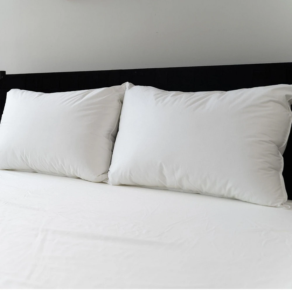 Lot de 2 Oreillers de Lit Sealy Support Moyen pour Dormeur sur le Ventre et le Dos, Housse en Coton, Lavable en Machine